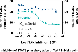 THUNDER™ Total STAT6 TR-FRET Cell Signaling Assay Kit