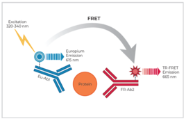 THUNDER™ Total STAT6 TR-FRET Cell Signaling Assay Kit