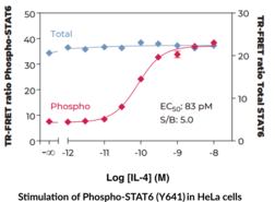 THUNDER™ Phospho-STAT6 (Y641) + Total STAT6 TR-FRET Cell Signaling Assay Kit (Signal Transducer and Activator of Transcription 6)