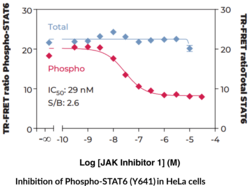 THUNDER™ Phospho-STAT6 (Y641) + Total STAT6 TR-FRET Cell Signaling Assay Kit