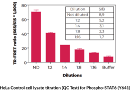 THUNDER™ Phospho-STAT6 (Y641) + Total STAT6 TR-FRET Cell Signaling Assay Kit