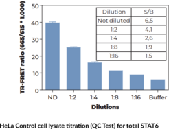 THUNDER™ Phospho-STAT6 (Y641) + Total STAT6 TR-FRET Cell Signaling Assay Kit