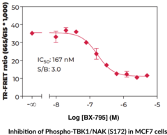 THUNDER™ Phospho-TBK1 (S172) TR-FRET Cell Signaling Assay Kit