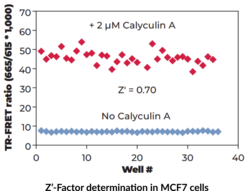 THUNDER™ Phospho-TBK1 (S172) TR-FRET Cell Signaling Assay Kit