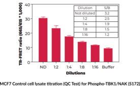 THUNDER™ Phospho-TBK1 (S172) TR-FRET Cell Signaling Assay Kit