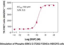 THUNDER™ Extreme Phospho-ERK1/2 (T202/Y204) TR-FRET Cell Signaling Assay Kit
