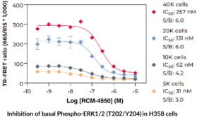 THUNDER™ Extreme Phospho-ERK1/2 (T202/Y204) TR-FRET Cell Signaling Assay Kit