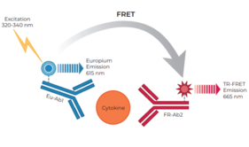 THUNDER™ Human IL-17A TR-FRET Biomarker Assay Kit