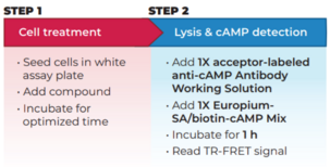 THUNDER™ cAMP TR-FRET Assay Kit