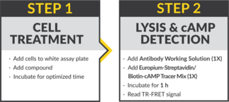 THUNDER™ cAMP TR-FRET Assay Kit