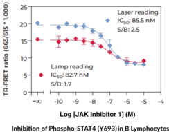 THUNDER™ Phospho-STAT4 (Y693) TR-FRET Cell Signaling Assay Kit