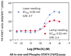 THUNDER™ Phospho-STAT4 (Y693) TR-FRET Cell Signaling Assay Kit