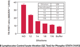 THUNDER™ Phospho-STAT4 (Y693) TR-FRET Cell Signaling Assay Kit