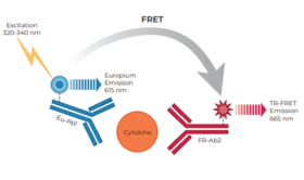 THUNDER™ Human IL-10 TR-FRET Biomarker Assay Kit
