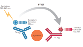 THUNDER™ Human IL-18 TR-FRET Biomarker Assay Kit