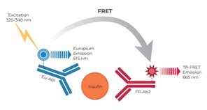 THUNDER™ Human Insulin TR-FRET Biomarker Assay Kit