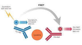 THUNDER™ Mouse IFNγ TR-FRET Biomarker Assay Kit