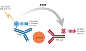 THUNDER™ Mouse IL-2 TR-FRET Biomarker Assay Kit