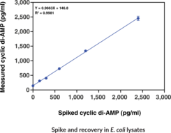 Cyclic di-AMP ELISA Kit