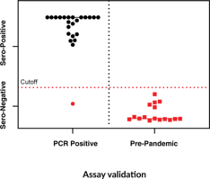 Anti-SARS-CoV-2 Spike Glycoprotein RBD IgG (human) ELISA Kit