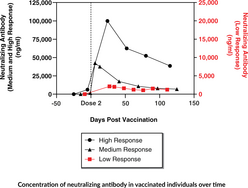 SARS-CoV-2 Neutralizing Antibody SimpleDetect ELISA Kit (Severe