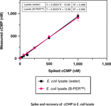 Cyclic CMP ELISA Kit