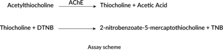 Acetylcholinesterase Activity Assay Kit (AChE Activity Assay Kit)