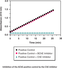 Acetylcholinesterase Activity Assay Kit