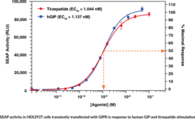 GIP Receptor (human) Reporter Assay Kit