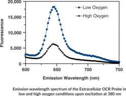 reduced glutathione assay Glutathione Quantification GSSG/GSH Quantification Kit