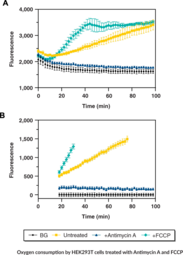 Extracellular Oxygen Consumption Assay Kit