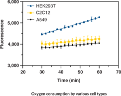 Extracellular Oxygen Consumption Assay Kit
