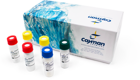 Astrocyte Reprogramming Reagent Kit (DFICBY) (DFICBY)