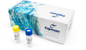 Fibroblast Reprogramming Reagent Kit (SB/XAV)