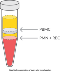 Peripheral Blood Mononuclear Cell (human) Isolation Kit