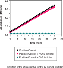 Butyrylcholinesterase Activity Assay Kit