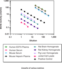 Butyrylcholinesterase Activity Assay Kit