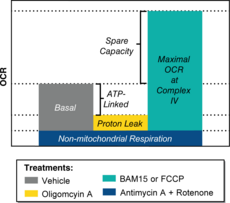 Mitochondria Respiration Reagent Kit