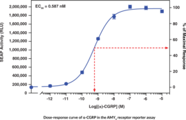 Amylin 3 Receptor (human) Reporter Assay Kit