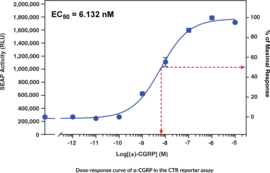 Calcitonin Receptor (human) Reporter Assay Kit