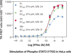 THUNDER™ High Performance Phospho-STAT3 (Y705) TR-FRET Cell Signaling Assay Kit (Signal Transducer and Activator of Transcription 3)