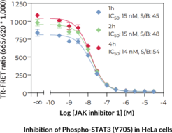 THUNDER™ High Performance Phospho-STAT3 (Y705) TR-FRET Cell Signaling Assay Kit