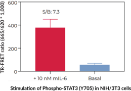 THUNDER™ High Performance Phospho-STAT3 (Y705) TR-FRET Cell Signaling Assay Kit