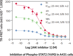 THUNDER™ Phospho-STAT2 (Y690) TR-FRET Cell Signaling Assay Kit
