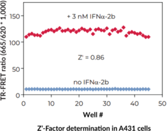 THUNDER™ Phospho-STAT2 (Y690) TR-FRET Cell Signaling Assay Kit