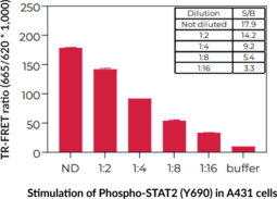 THUNDER™ Phospho-STAT2 (Y690) TR-FRET Cell Signaling Assay Kit