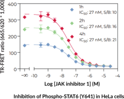 THUNDER™ High Performance Phospho-STAT6 (Y641) TR-FRET Cell Signaling Assay Kit