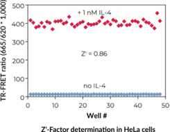 THUNDER™ High Performance Phospho-STAT6 (Y641) TR-FRET Cell Signaling Assay Kit