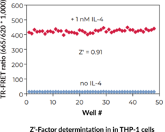 THUNDER™ High Performance Phospho-STAT6 (Y641) TR-FRET Cell Signaling Assay Kit