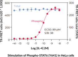 THUNDER™ High Performance Total STAT6 TR-FRET Cell Signaling Assay Kit (Signal Transducer and Activator of Transcription 6)